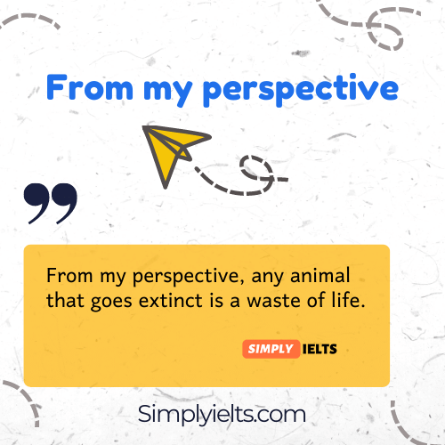From my perspective example 2